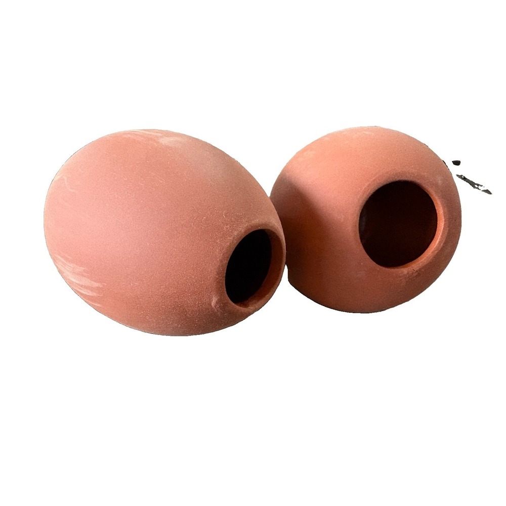 Terracotta Vase Pair (2) Dried Flowers Decorative Succulents